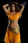 Sneha Ullal Hot Photos - 32 of 50