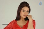 Sonia Agarwal Hot Photos - 78 of 78