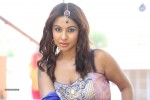 Sri Reddy Spicy Stills - 11 of 150