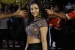 Swetha Basu Prasad New Spicy Stills - 29 of 151