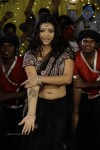 Swetha Basu Prasad New Spicy Stills - 88 of 151