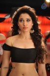 Tamanna New Spicy Stills - 30 of 113