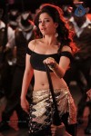 Tamanna New Spicy Stills - 97 of 113