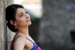 Tamanna Spicy Photos - 79 of 97