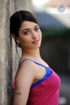 Tamanna Spicy Photos - 81 of 97