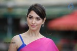 Tamanna Spicy Photos - 85 of 97