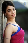 Tamanna Spicy Photos - 90 of 97
