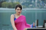 Tamanna Spicy Photos - 97 of 97