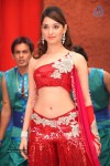 Tamanna Spicy Pics - 7 of 13