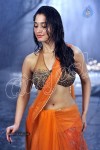 Tamanna Spicy Stills - 5 of 23