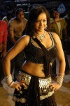 Tanu Roy Hot Gallery - 46 of 90