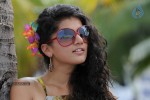 Tapsee Spicy Photos - 25 of 31