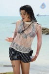 Tashu Kaushik Hot Gallery - 6 of 77