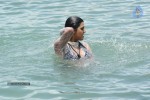 Tashu Kaushik Hot Gallery - 28 of 77