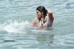 Tashu Kaushik Hot Gallery - 29 of 77