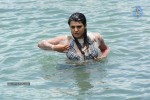 Tashu Kaushik Hot Gallery - 35 of 77