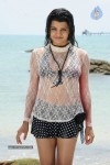Tashu Kaushik Hot Gallery - 53 of 77