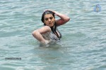Tashu Kaushik Hot Gallery - 65 of 77