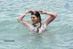 Tashu Kaushik Hot Gallery - 71 of 77