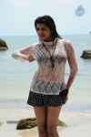Tashu Kaushik Hot Gallery - 73 of 77