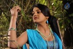 Tashu Kaushik Hot Photos - 32 of 43