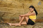 Tashu Kaushik Hot Photos - 8 of 35