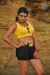 Tashu Kaushik Hot Photos - 16 of 35