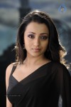 Trisha Spicy Gallery  - 13 of 90