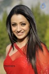 Trisha Spicy Gallery  - 53 of 90