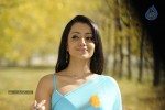 Trisha Spicy Gallery  - 66 of 90