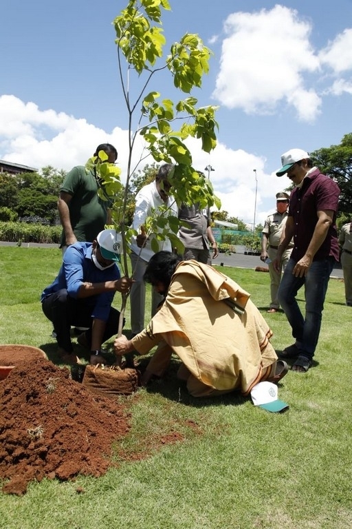 Mega Brothers in Green India Challenge - 4 / 9 photos