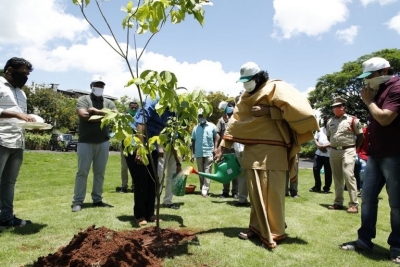Mega Brothers in Green India Challenge - 1 of 9