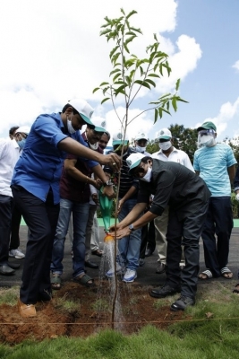 Mega Brothers in Green India Challenge - 3 of 9