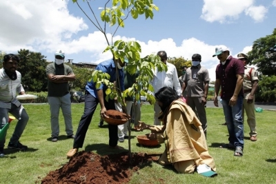 Mega Brothers in Green India Challenge - 6 of 9