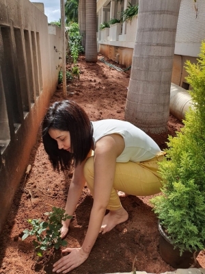 Raashi khanna Green India Challenge - 2 of 4