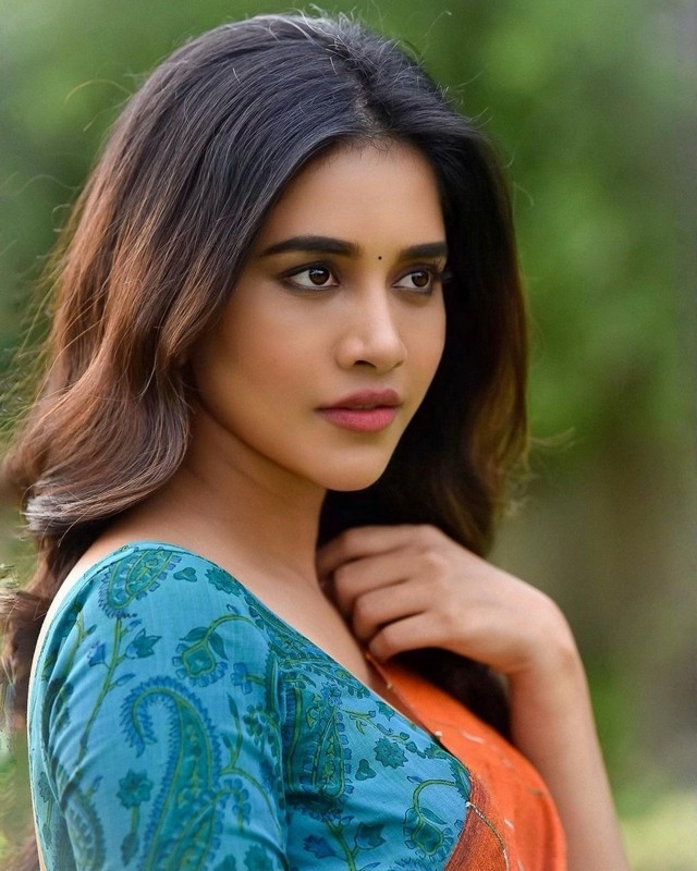 Nabha Natesh Photos - 4 / 4 photos