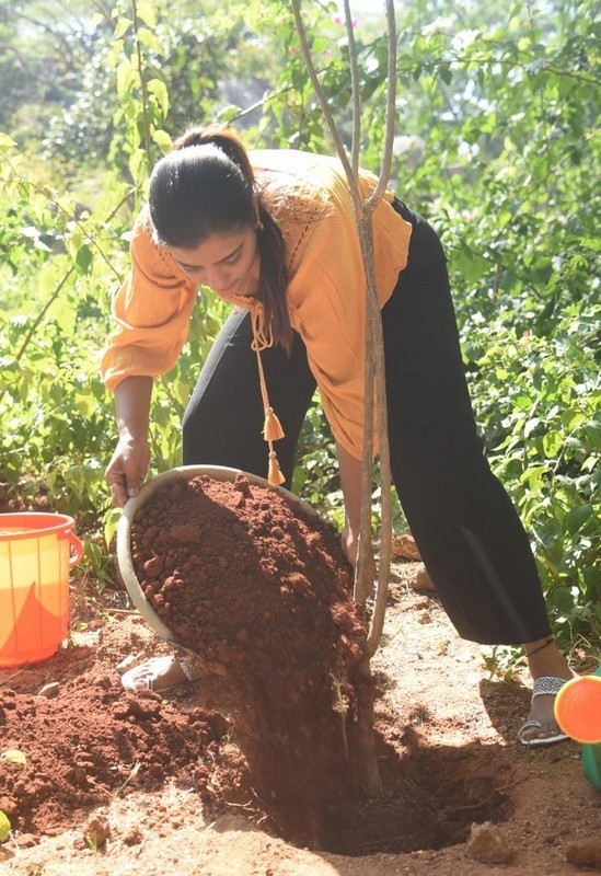 Aishwarya Rajesh Accepted Green India Challenge - 3 / 4 photos