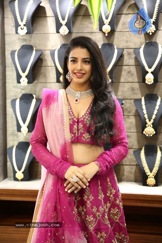 Artistry Show at Malabar Gold and Diamonds - 15 / 21 photos