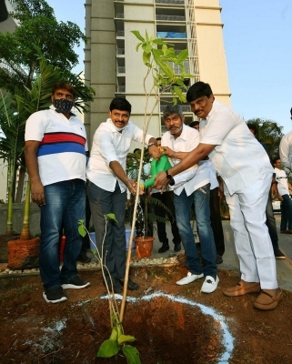 Jagapathi Babu Accepted Green India Challenge - 1 of 4