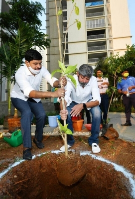 Jagapathi Babu Accepted Green India Challenge - 4 of 4