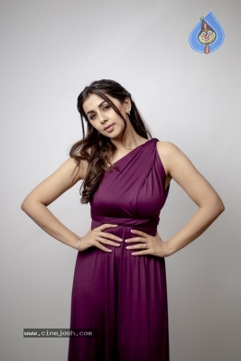 Nikki Galrani Photo Shoot - 1 of 12