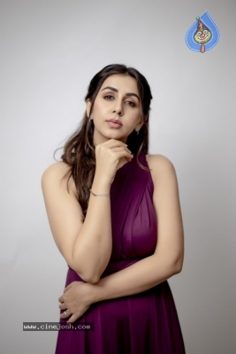 Nikki Galrani Photo Shoot - 3 of 12