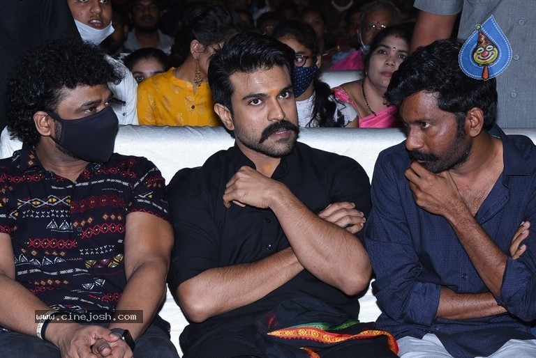 Uppena Blockbuster Celebrations 2 - 22 / 56 photos