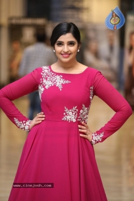 Anchor Shyamala Photos - 6 of 17