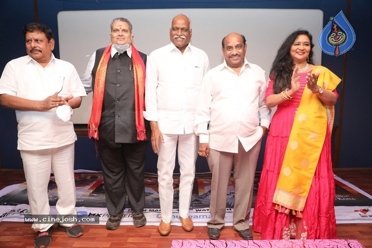 Salt Movie Trailer Launch - 8 / 21 photos