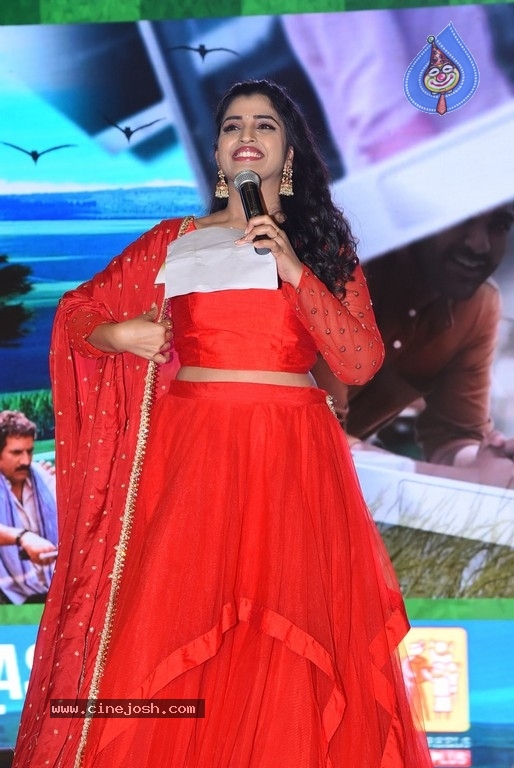 Sreekaram Pre Release Event 01 - 34 / 39 photos