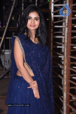 Ananya Nagalla Photos - 12 of 20