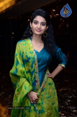 Ananya Nagalla Photos - 17 of 17