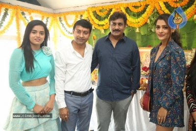 Neha Sri Creations Production 2 launch - 6 of 21