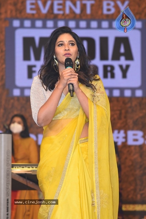 Vakeel Saab Pre Release Event - 35 / 93 photos